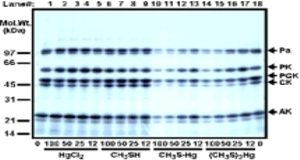 18-wissenschaftliche-grundlagen-einfuehrung-hgh2s-autoradio